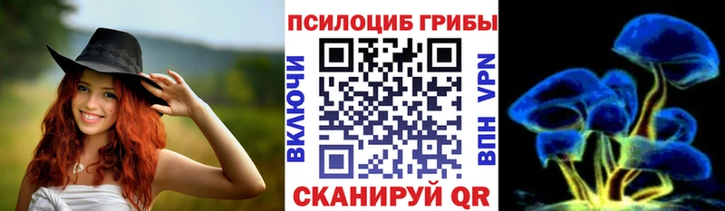 Галлюциногенные грибы Psilocybine cubensis  Мосальск 