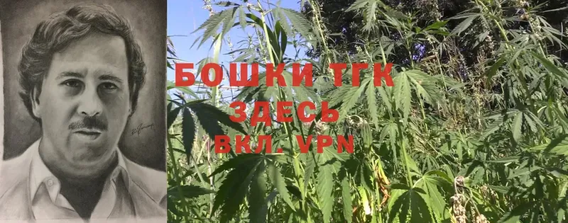 купить наркоту  Мосальск  Конопля White Widow 